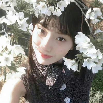 芬妮的旅程